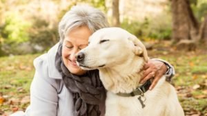 What Are the Health Benefits of Owning a Pet Over 60?