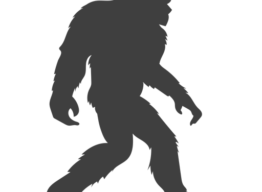 Kameron Westcott’s Camo Hoodie