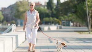 Walking Well: How to Avoid Tripping on Uneven Ground or Broken Paving (VIDEO)