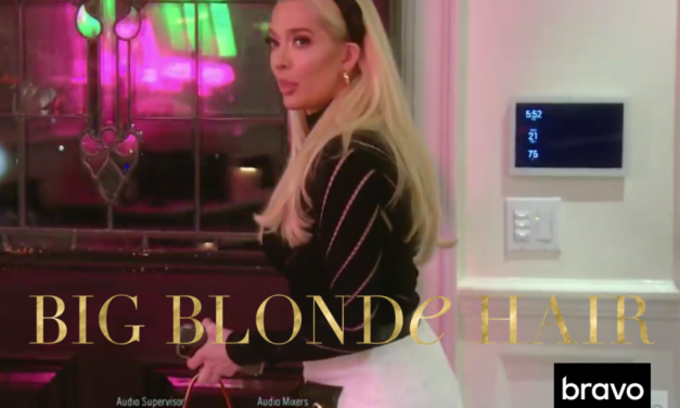 Erika Jayne’s Leather and Tweed Skirt