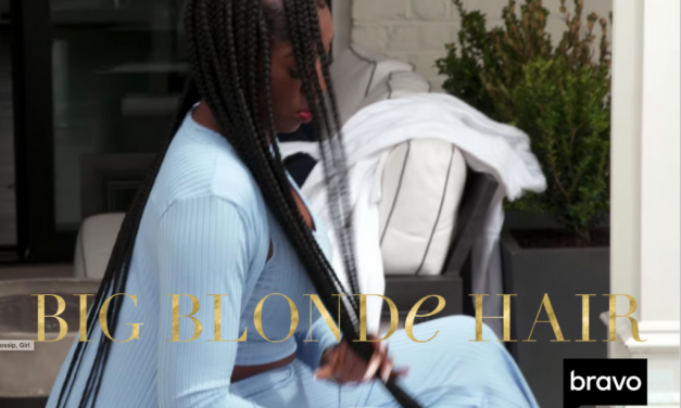 Wendy Osefo’s Light Blue Set