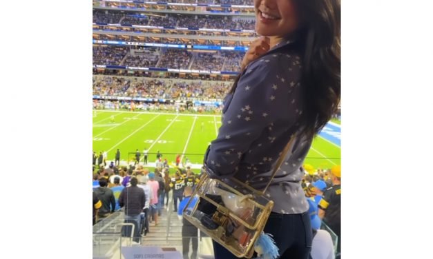 Crystal Kung Minkoff’s Blue Star Print Shirt