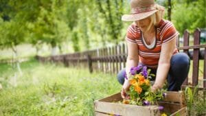 The Spiritual Gardener’s Guide to Growing Your Dream