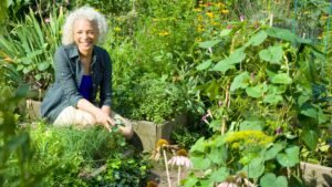 Cultivating Your Summer Garden through Life Coaching!