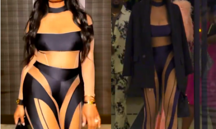 Marlo Hampton’s Black Mesh Panel Outfit