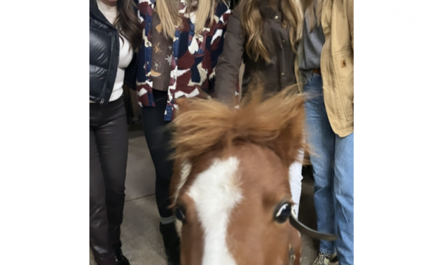 Naomie Olindo’s Printed Fleece Shacket