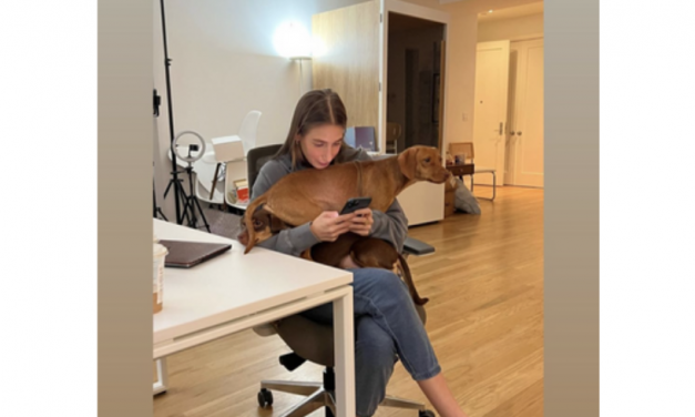 Amanda Batula’s Tan Sherpa Slippers