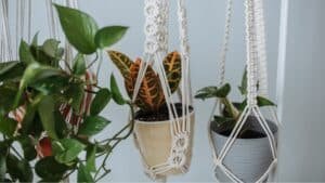 How to Make a Macrame Plant Hanger