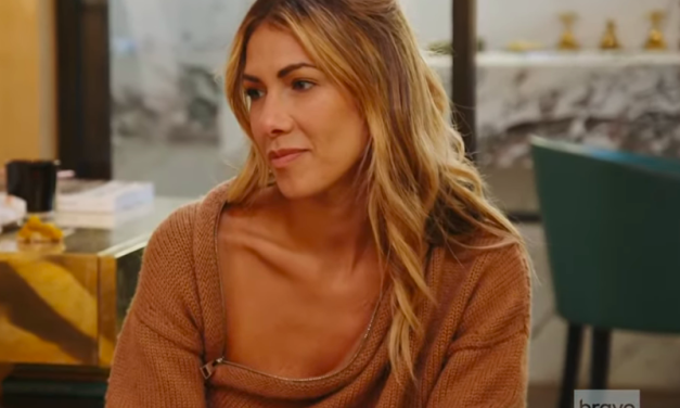 Erin Lichy’s Brown Zip Collar Sweater