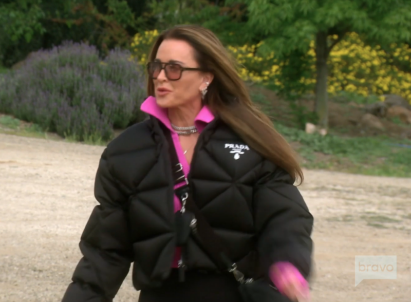 Kyle Richards’ Black Quilted Puffer Jacket