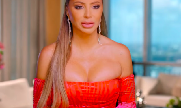 Larsa Pippen’s Pink Zebra Velvet Confessional Look