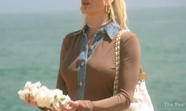 Erika Girardi’s Brown Denim Button Down Top