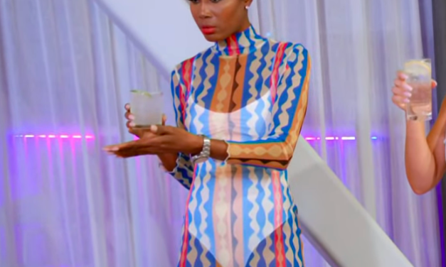 Kiki Barth’s Printed Mesh Maxi Dress