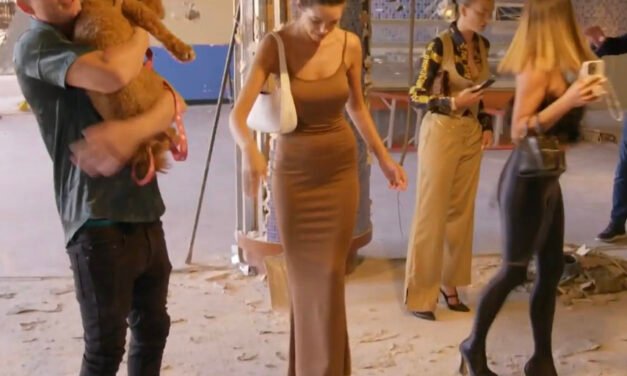 Ally Lewber’s Brown Maxi Dress